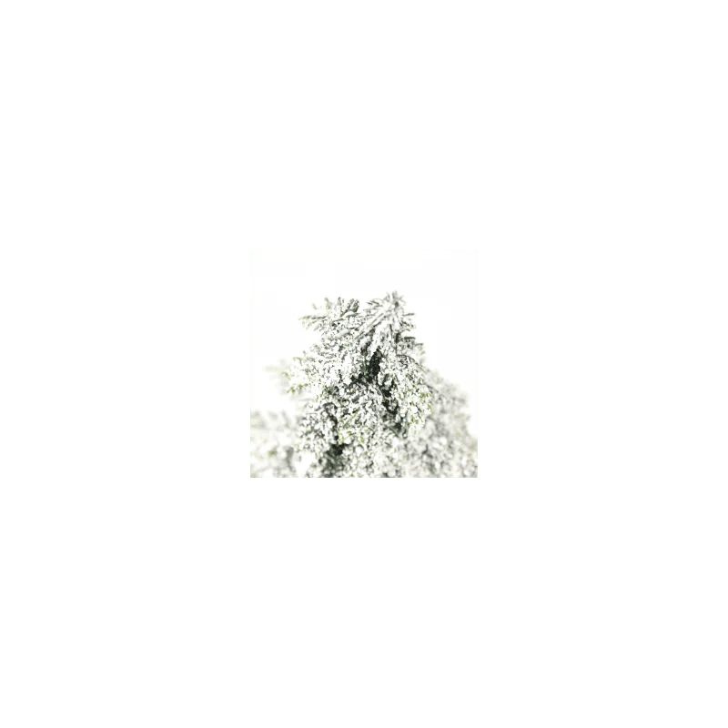 Pinetto Snow Tip | Xone - Image 5