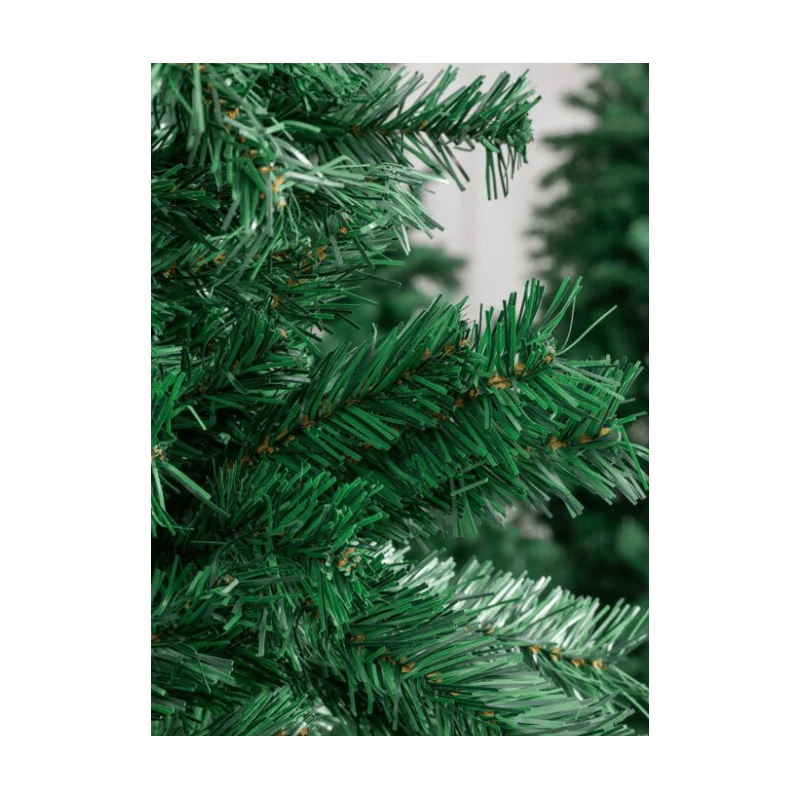 Pinetto Timmy | Xone - Image 4