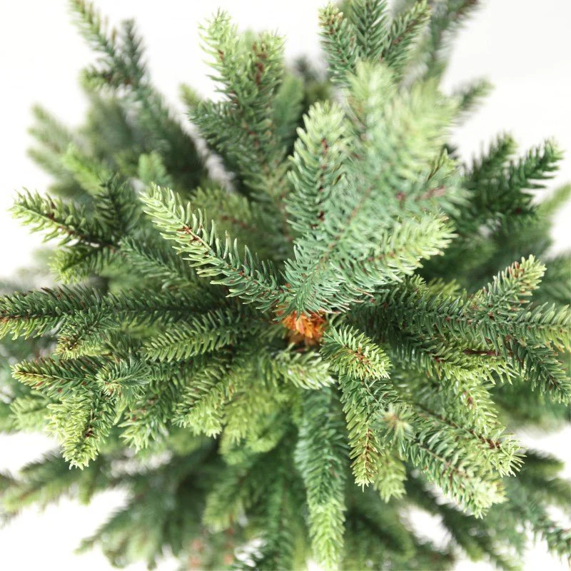 Pinetto Victor | Xone - Image 2