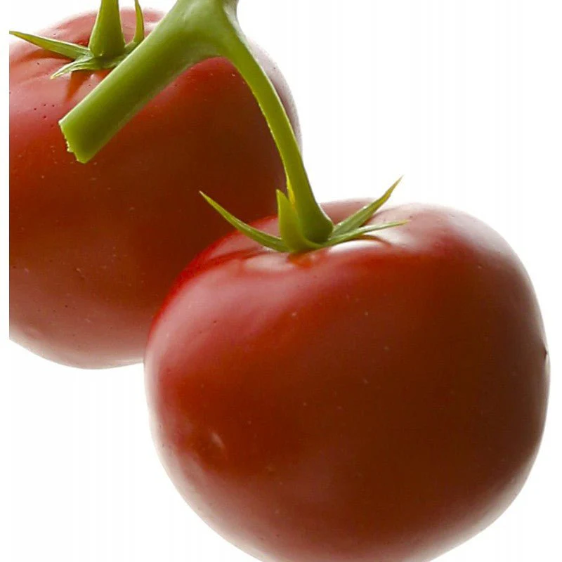 Pomodori artificiali decorativi 2 pz. EDG - Image 2