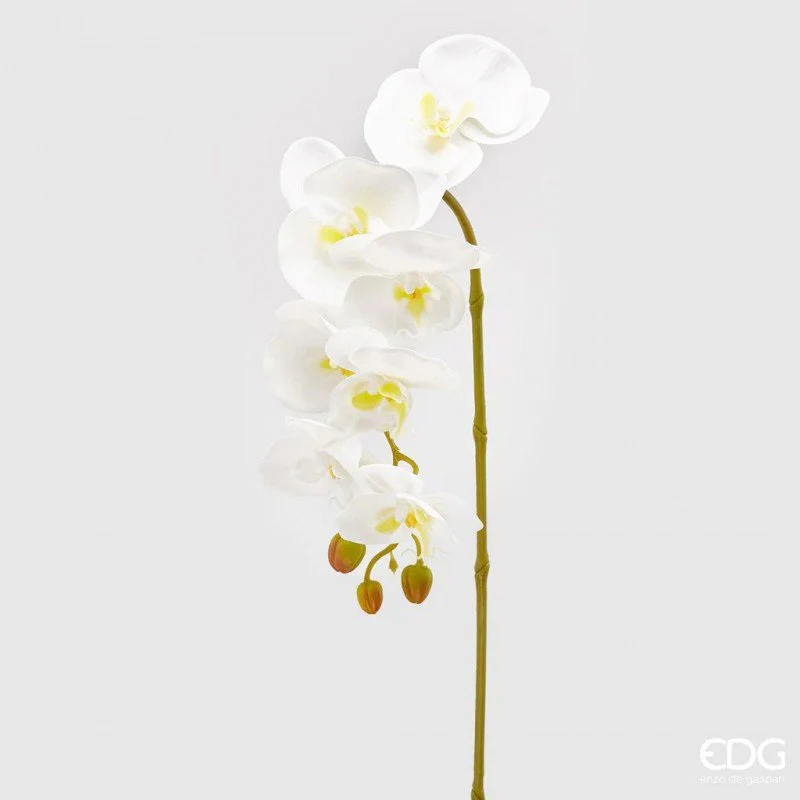 Ramo artificiale Orchidea Phalaenopsis EDG - Image 2