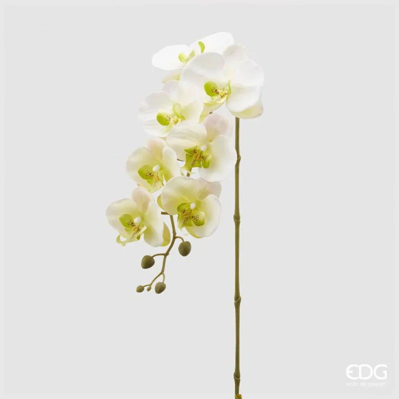 Ramo artificiale Orchidea Phalaenopsis EDG - Image 3