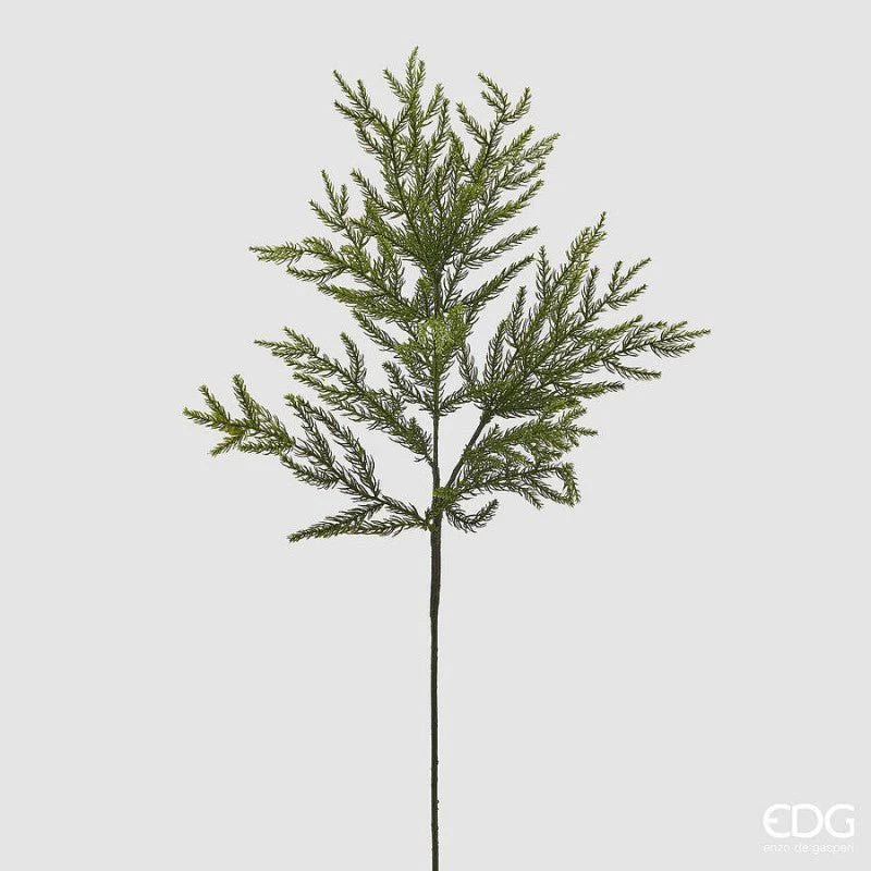Ramo Verde H84 cm Cryptomeria |EDG