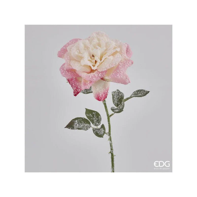 Rosa tea ramo innevato | EDG