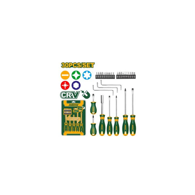 Set 30 Cacciaviti con magnete