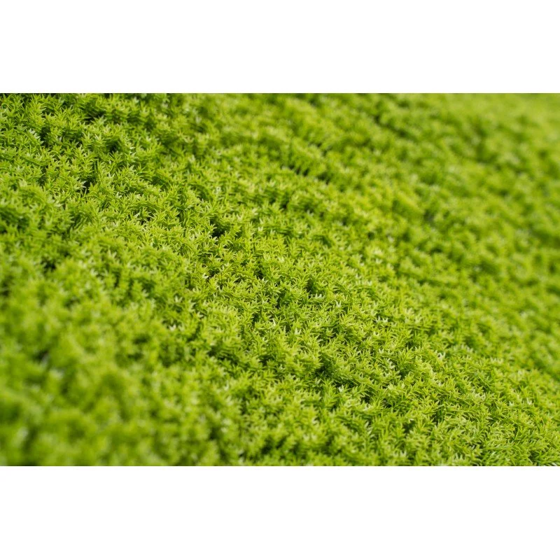 Siepe artificiale 3D 50x50 cm Muschio | Xone - Image 9