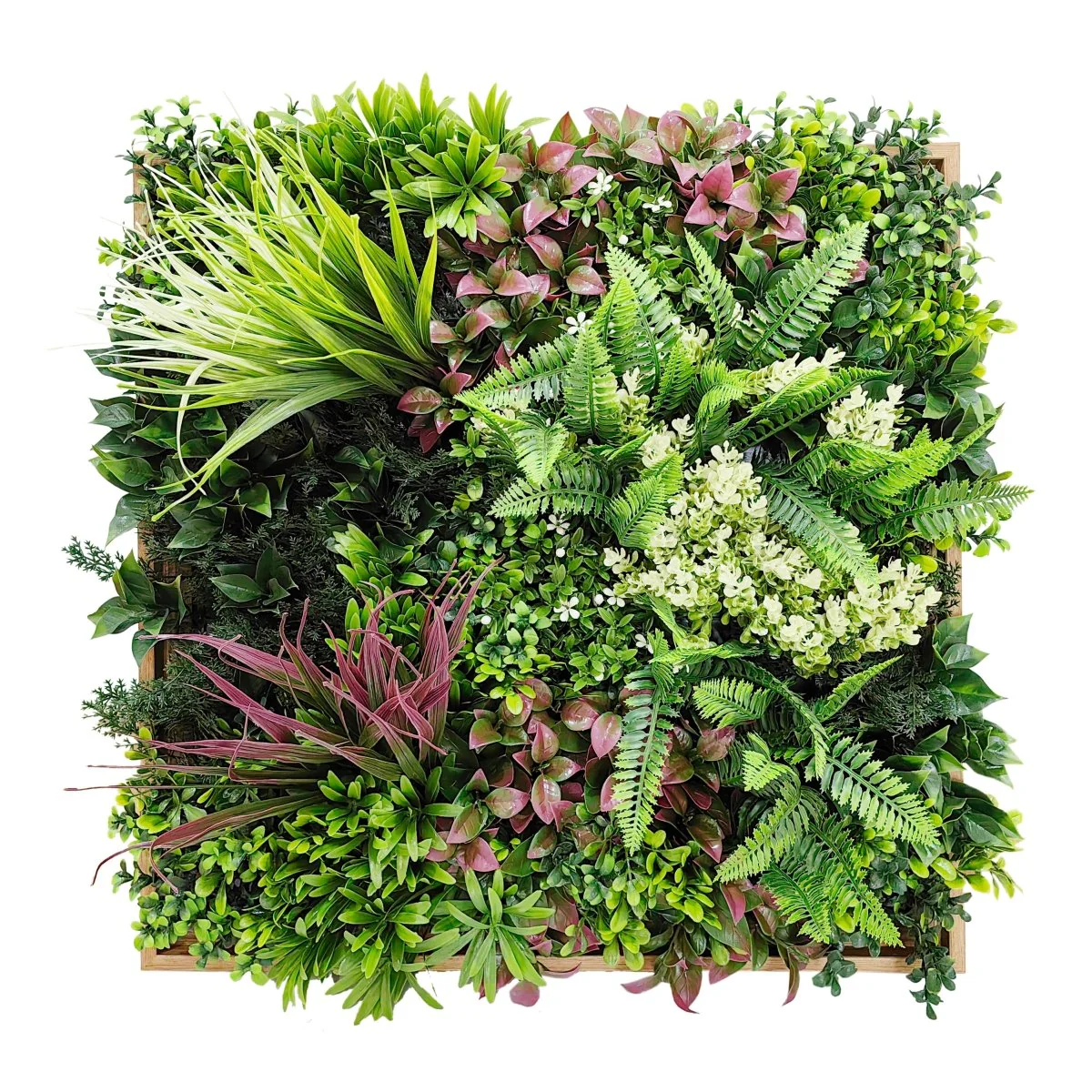 Siepe Quadro Verde Artificiale Decorativo Summer Frame 50x50cm | Xone