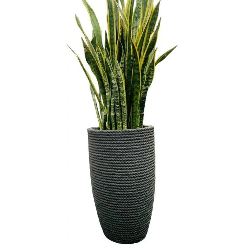 Tronco Conico Bali effetto corda h70 cm - Image 4