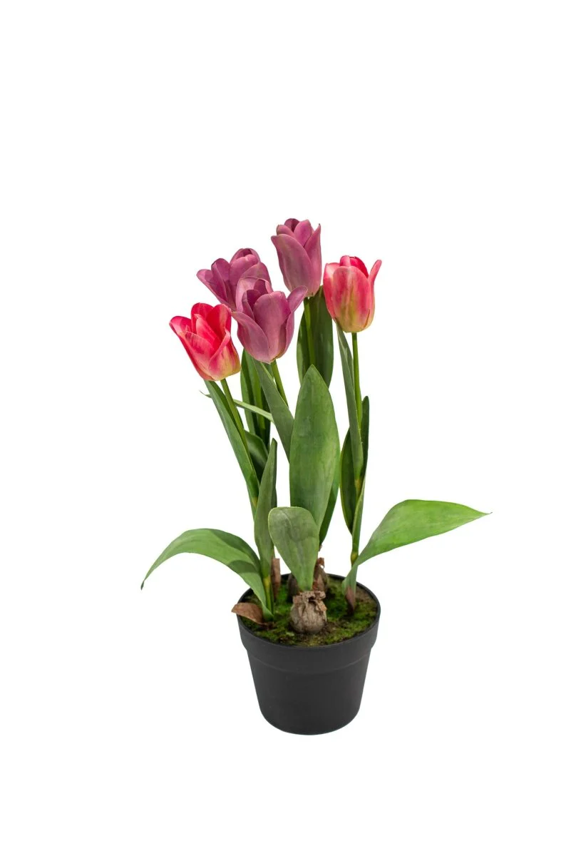 Composizione tulipani olandesi artificiali in vaso h54 cm | Xone - Image 5