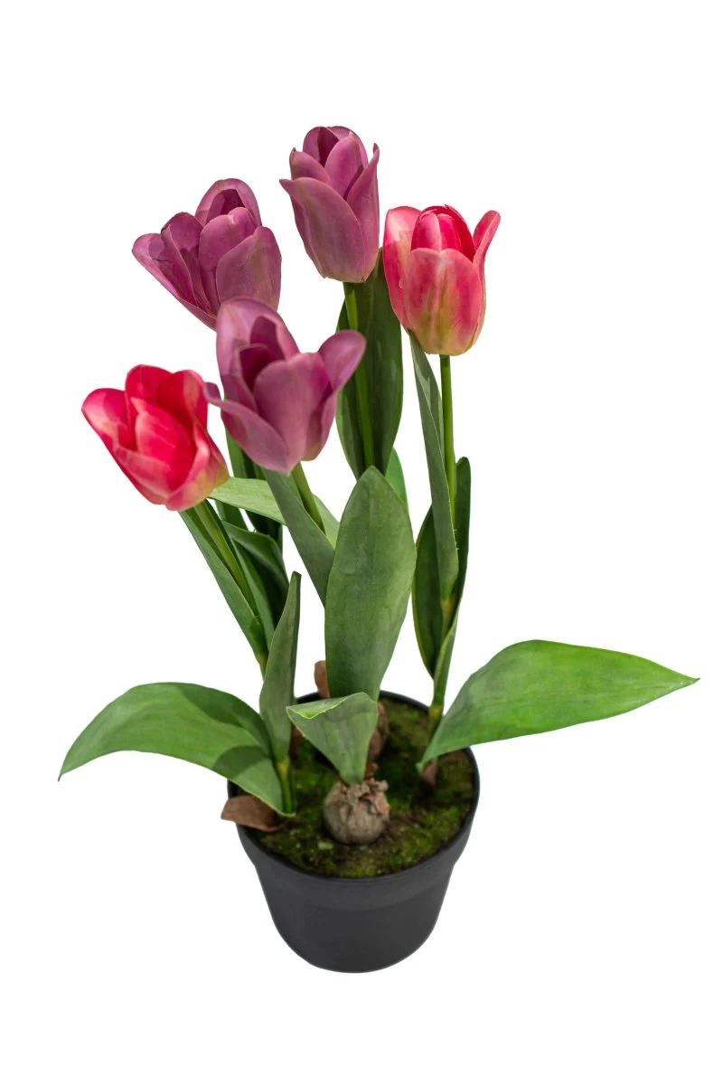 Composizione tulipani olandesi artificiali in vaso h54 cm | Xone - Image 6