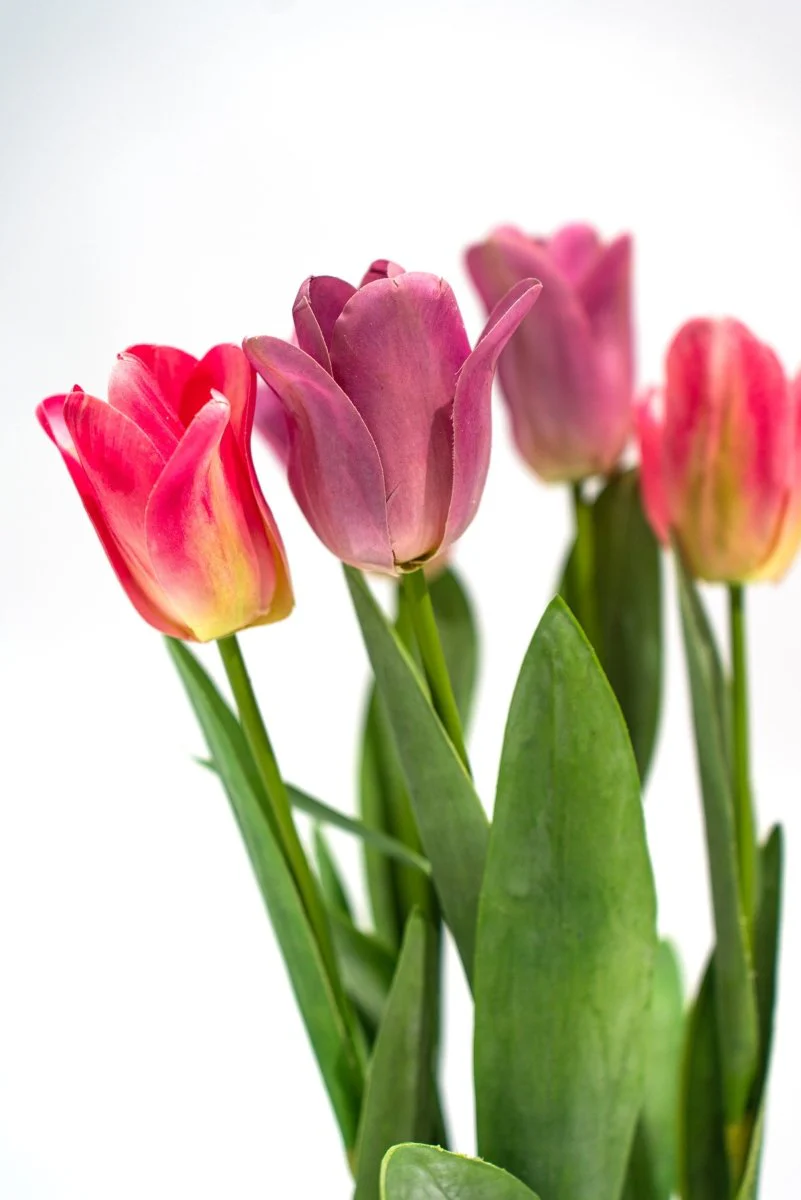 Composizione tulipani olandesi artificiali in vaso h54 cm | Xone - Image 7