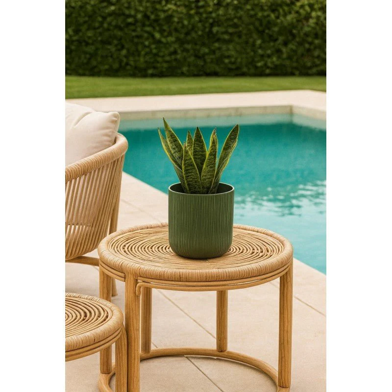 Vaso ceramica rigato salvia | EDG - Image 2