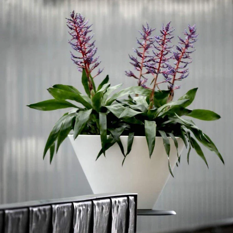 Vaso Chiron bianco 50 cm - Image 2