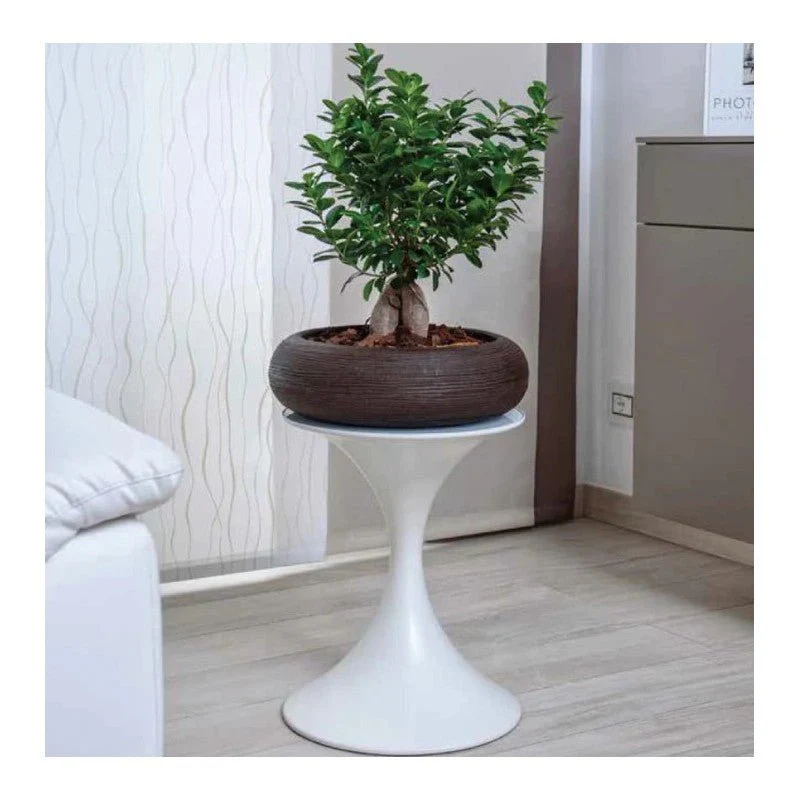 Vaso Ciotola ø35 cm Shabby Rigata Vasar - Image 6