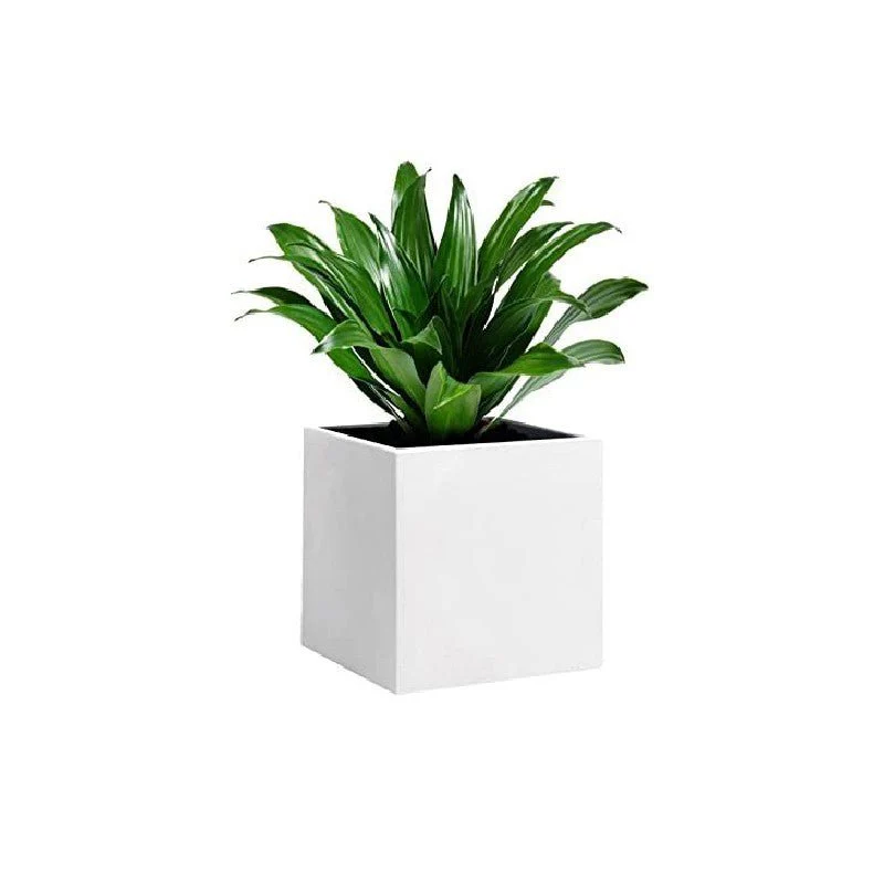 Vaso Cubo Momus Bianco 50cm - Image 2