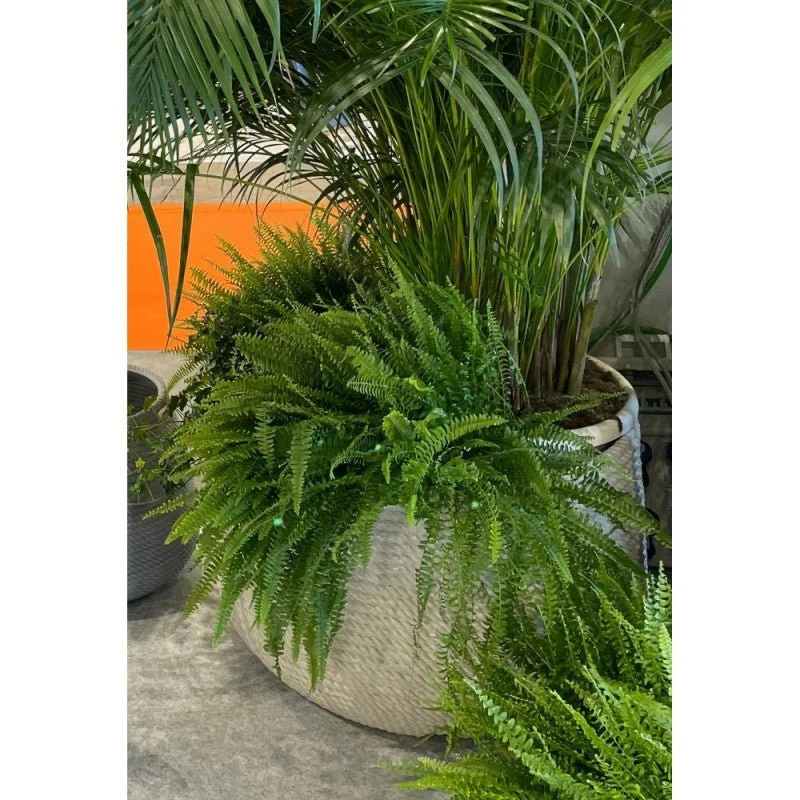 Vaso Urbano Bali  effetto corda 80 cm - Image 4